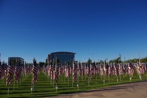 Nearly 3,000 flags cover the grounds at Tempe Beach Park.