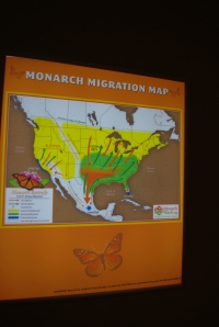 The hall leading to the theater contains butterfly placards and a Monarch Migration Map.